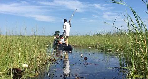 botswana okawango delta mokoro